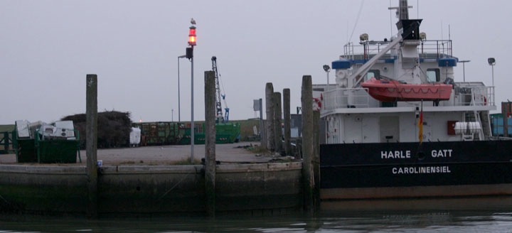 Molenfeuer Harlingsiel