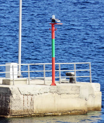 Molenfeuer Ost am Muelle de Contenedores