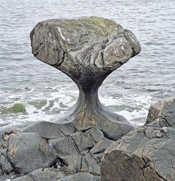 Kannensteinen