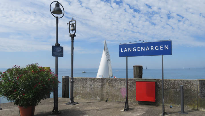 Nebelglocke Langenargen