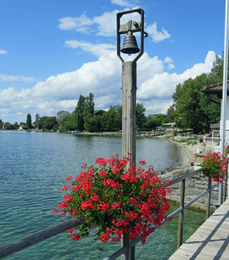 Nebelglocke Reichenau