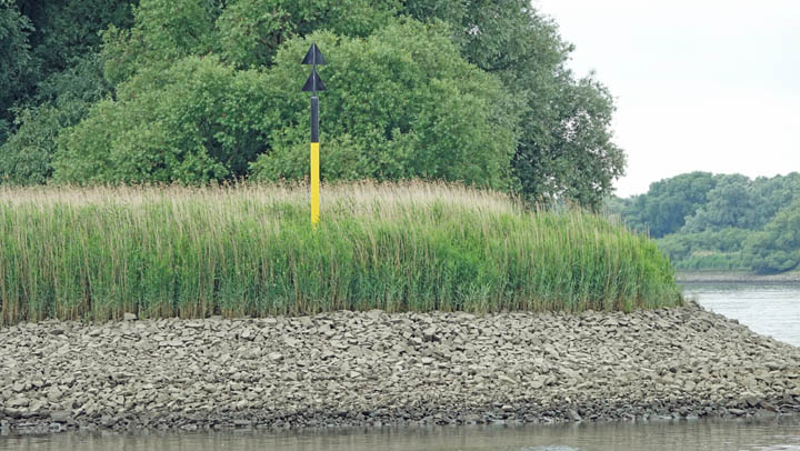 Kardinalbake Dove-Elbe Kardinalbake Dove-Elbe