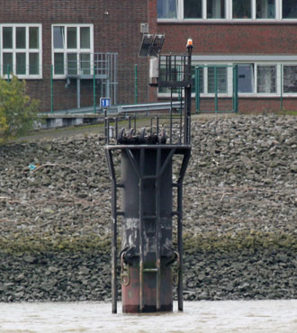 Finkenwerder Tiefwasserliegeplatz 1B Ostseite