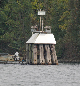 Nebelfeuer Kleine Schleuse