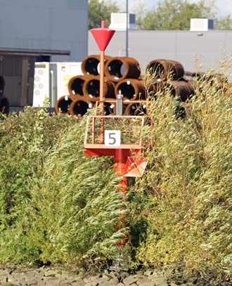 Uferfeuer Noord 5 Noord 5