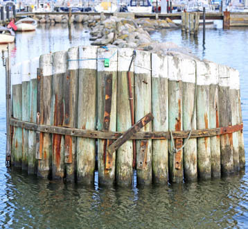 Maasholm Fischereihafen Steuerbord