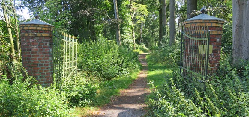 Bürgerpark Bergfrede