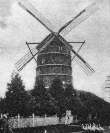 Hollands Mühle in Mehrhoog