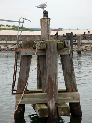 Warnfeuer Warnemünde Jachthafen im August 2010