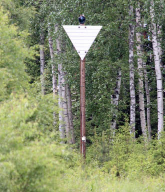 Oberfeuer Pålängeviken