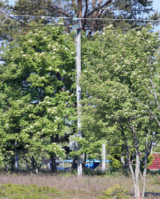 Oberfeuer Rovögern