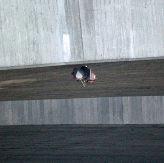 Leuchtfeuer Tranebergsbron Ost Tranebergsbron Ost