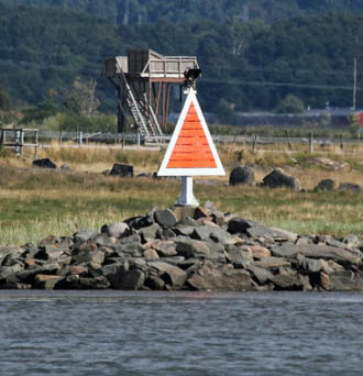 Unterfeuer Ringhals gröna Ringhals gröna