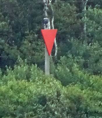 Skallkroken Grna 2017