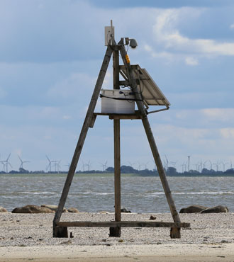 Norderney Seehundbake