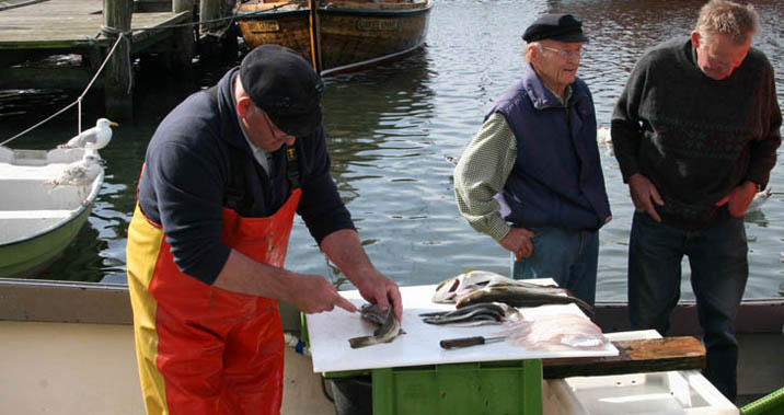 Fehmarn Fischmarkt