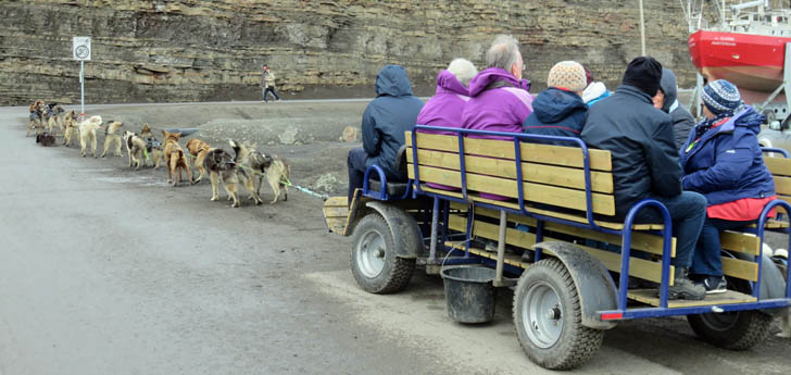 Hundekutsche in Longyearbyen